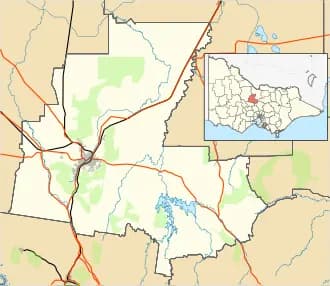 Wellsford to Melbourne Airport (MEL) | Reliable Airport Transfer