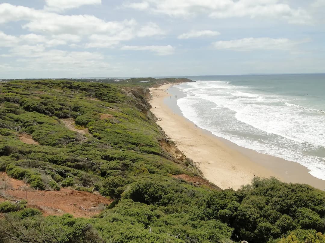 Jan Juc to Melbourne Airport (MEL) | Reliable Airport Transfer