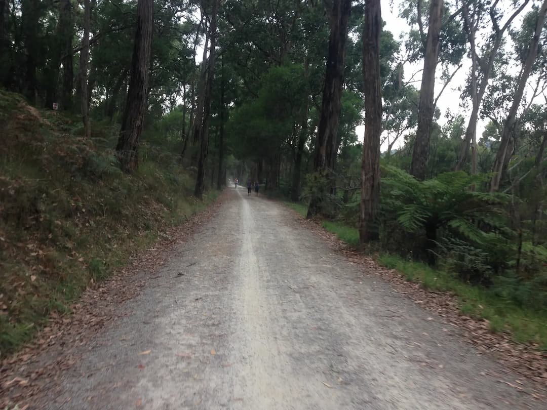 Mount Evelyn to Melbourne Airport (MEL) | Reliable Airport Transfer
