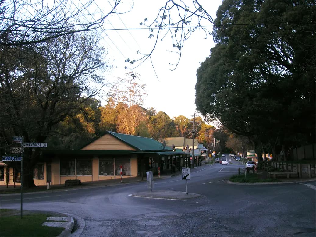 Olinda to Melbourne Airport (MEL) | Reliable Airport Transfer