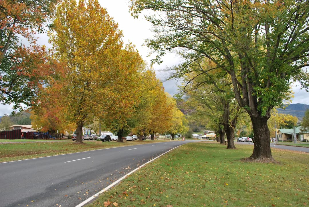 Eskdale to Melbourne Airport (MEL) | Reliable Airport Transfer
