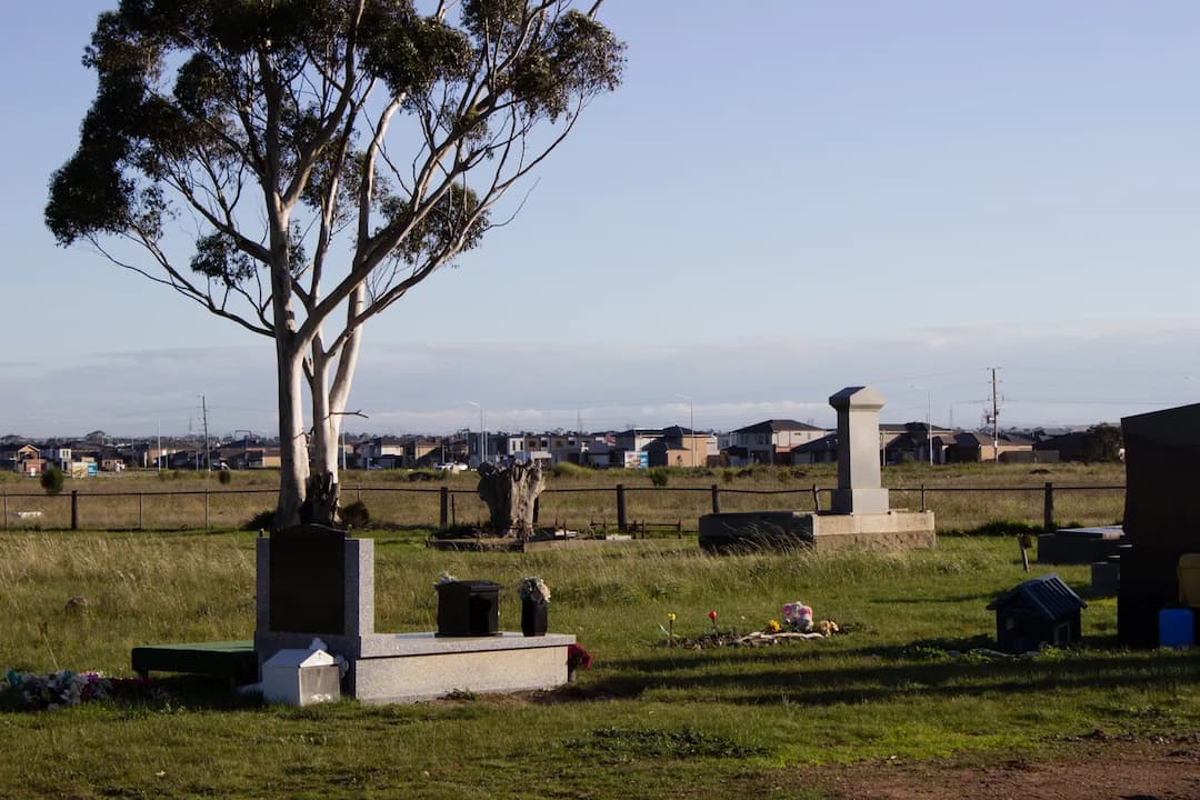 Truganina to Melbourne Airport (MEL) | Reliable Airport Transfer