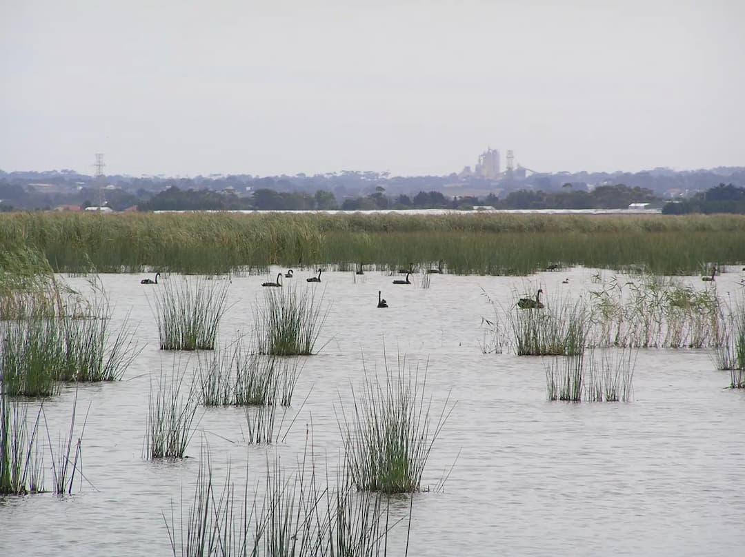 Reedy Lake to Melbourne Airport (MEL) | Reliable Airport Transfer