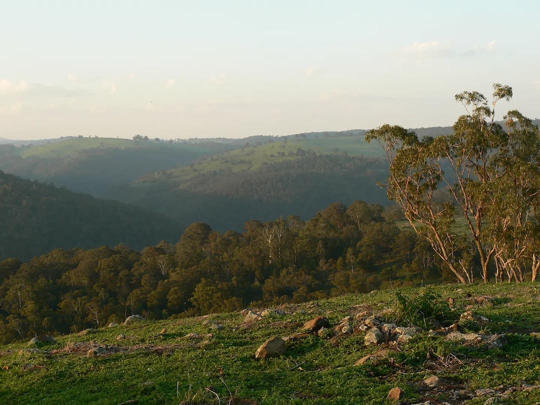 W Tree to Melbourne Airport (MEL) | Reliable Airport Transfer