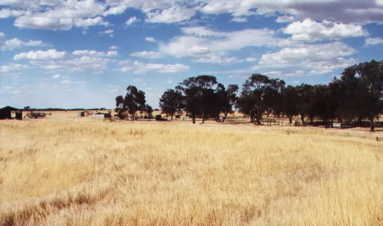 Willenabrina to Melbourne Airport (MEL) | Reliable Airport Transfer