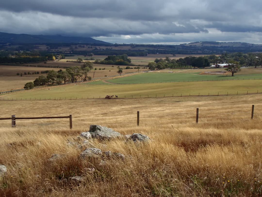 Rochford to Melbourne Airport (MEL) | Reliable Airport Transfer