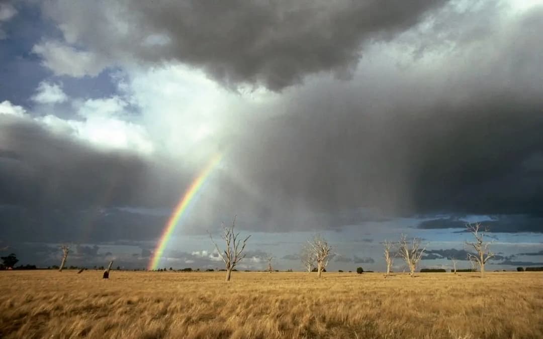 Lyndhurst to Melbourne Airport (MEL) | Reliable Airport Transfer