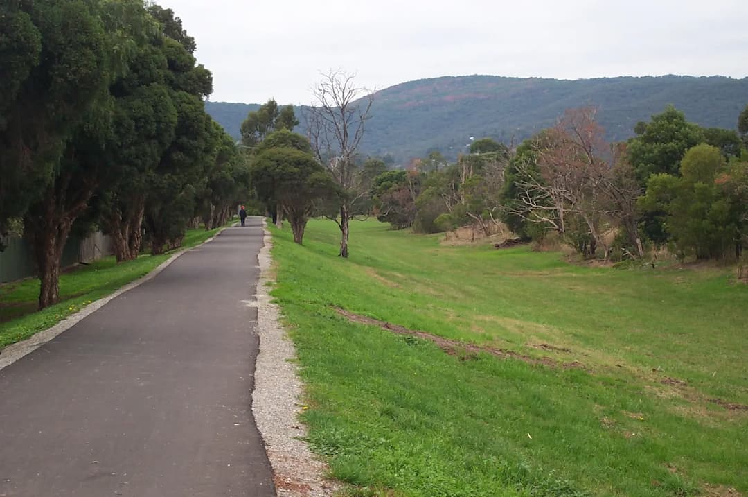 Wedding Car Hire in Ferny Creek
