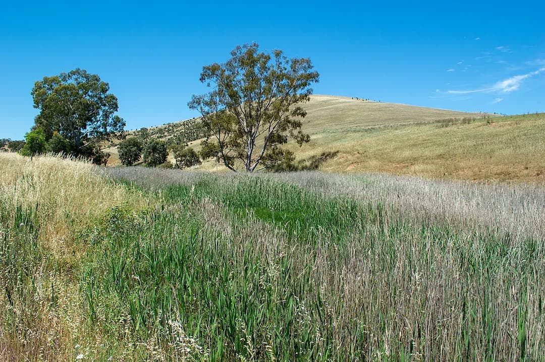 Woolshed Flat to Melbourne Airport (MEL) | Reliable Airport Transfer