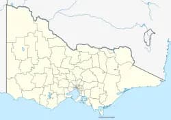 Won Wron to Melbourne Airport (MEL) | Reliable Airport Transfer
