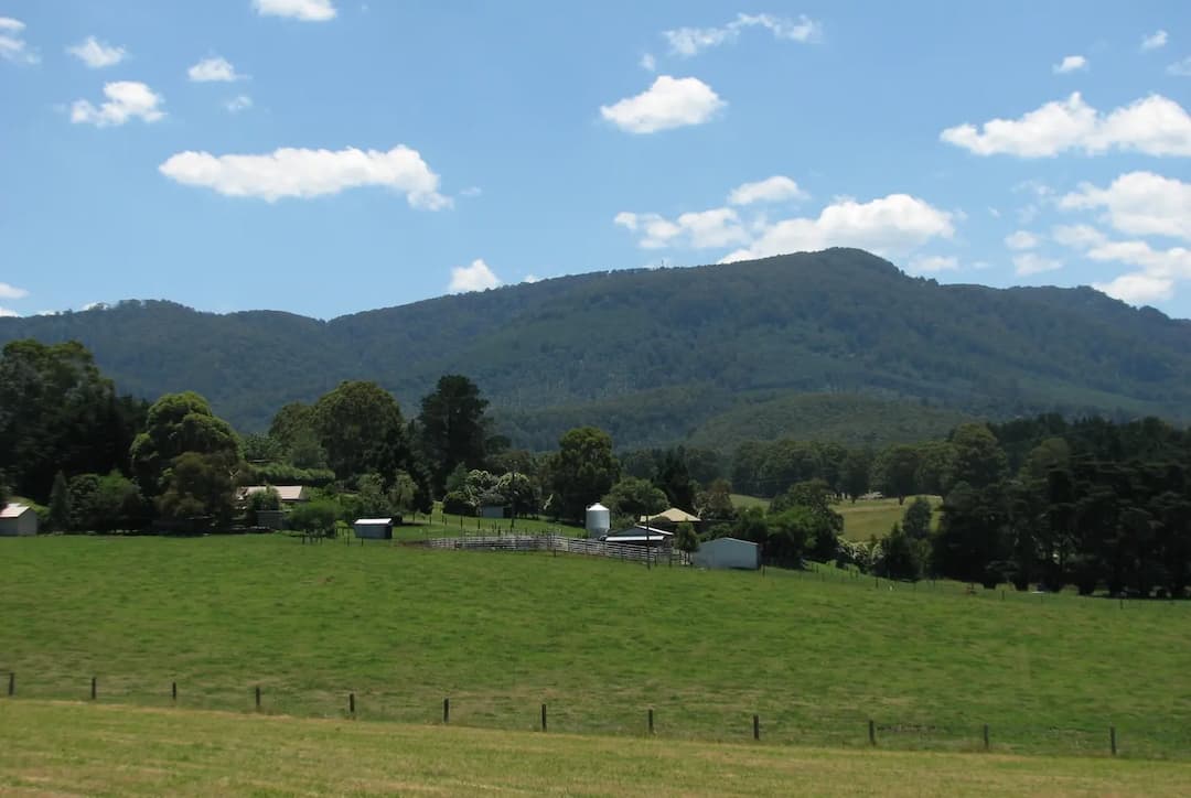 Meadow Creek to Melbourne Airport (MEL) | Reliable Airport Transfer