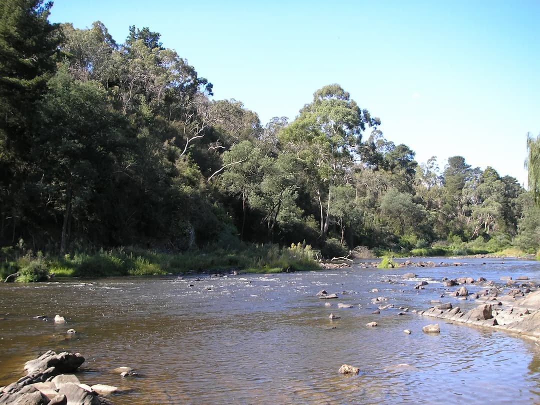 North Warrandyte to Melbourne Airport (MEL) | Reliable Airport Transfer