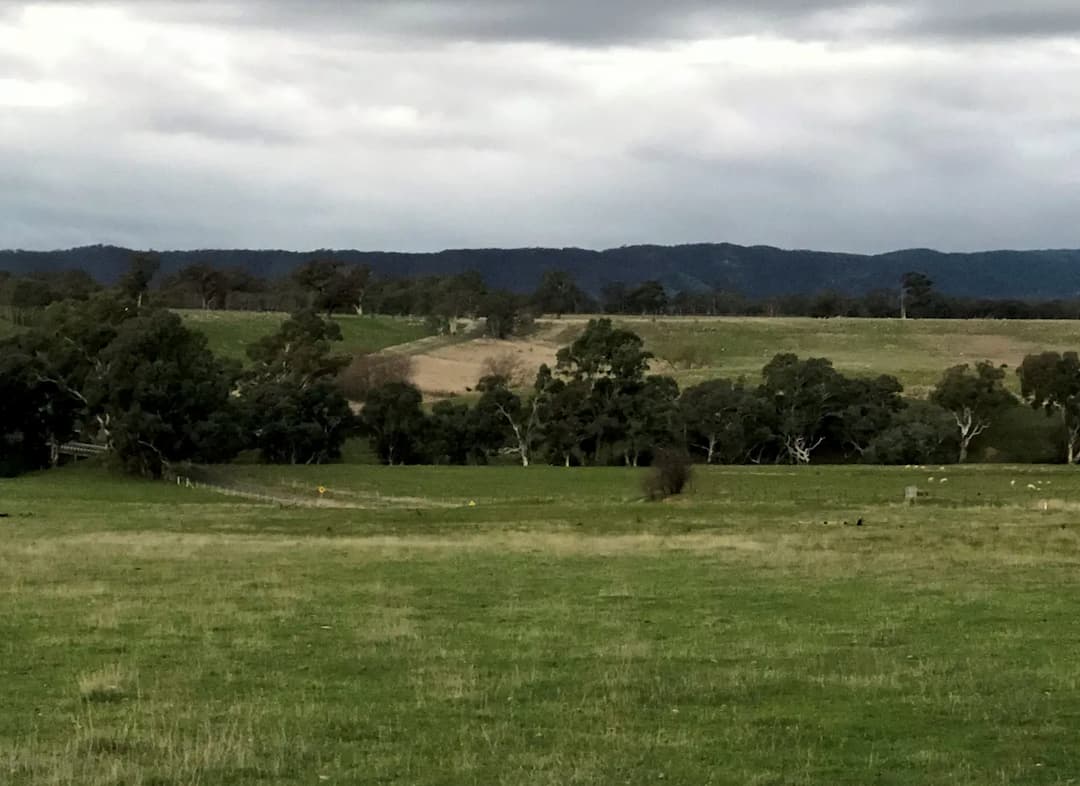Sugarloaf to Melbourne Airport (MEL) | Reliable Airport Transfer