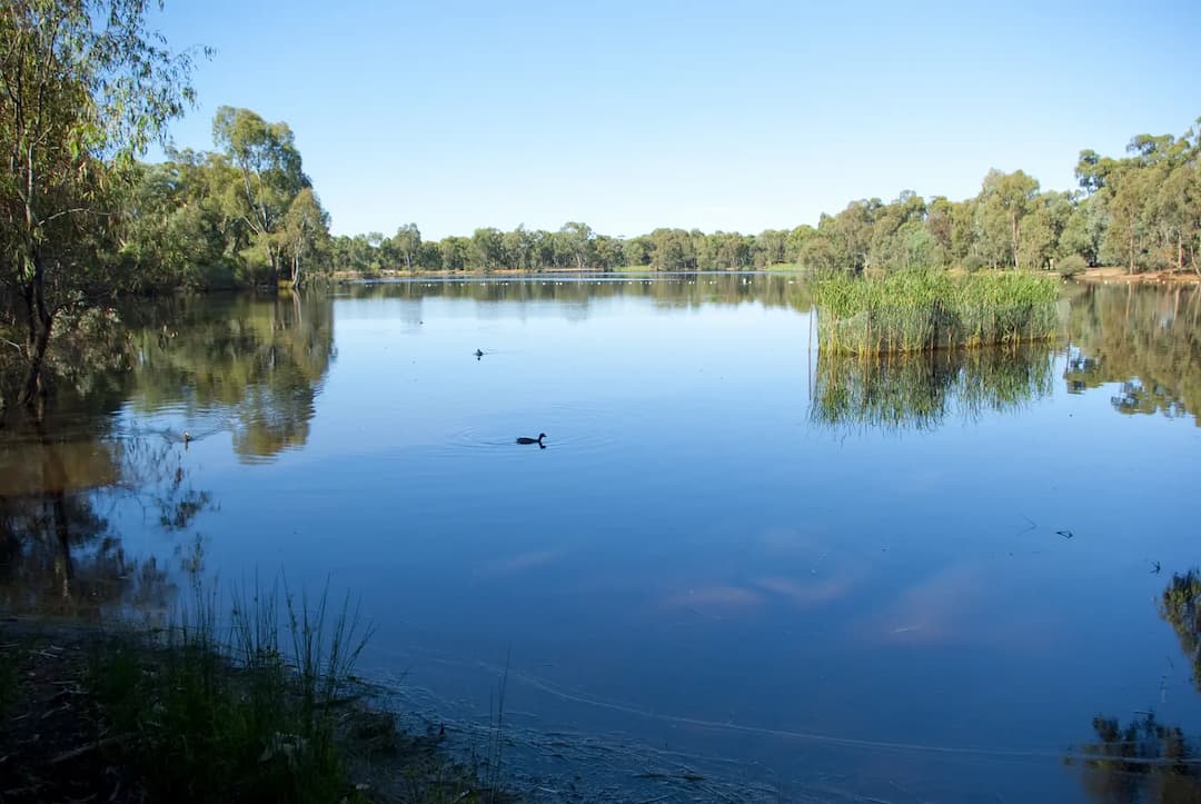 Kennington to Melbourne Airport (MEL) | Reliable Airport Transfer