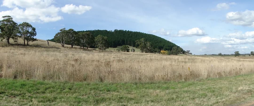 Springmount to Melbourne Airport (MEL) | Reliable Airport Transfer