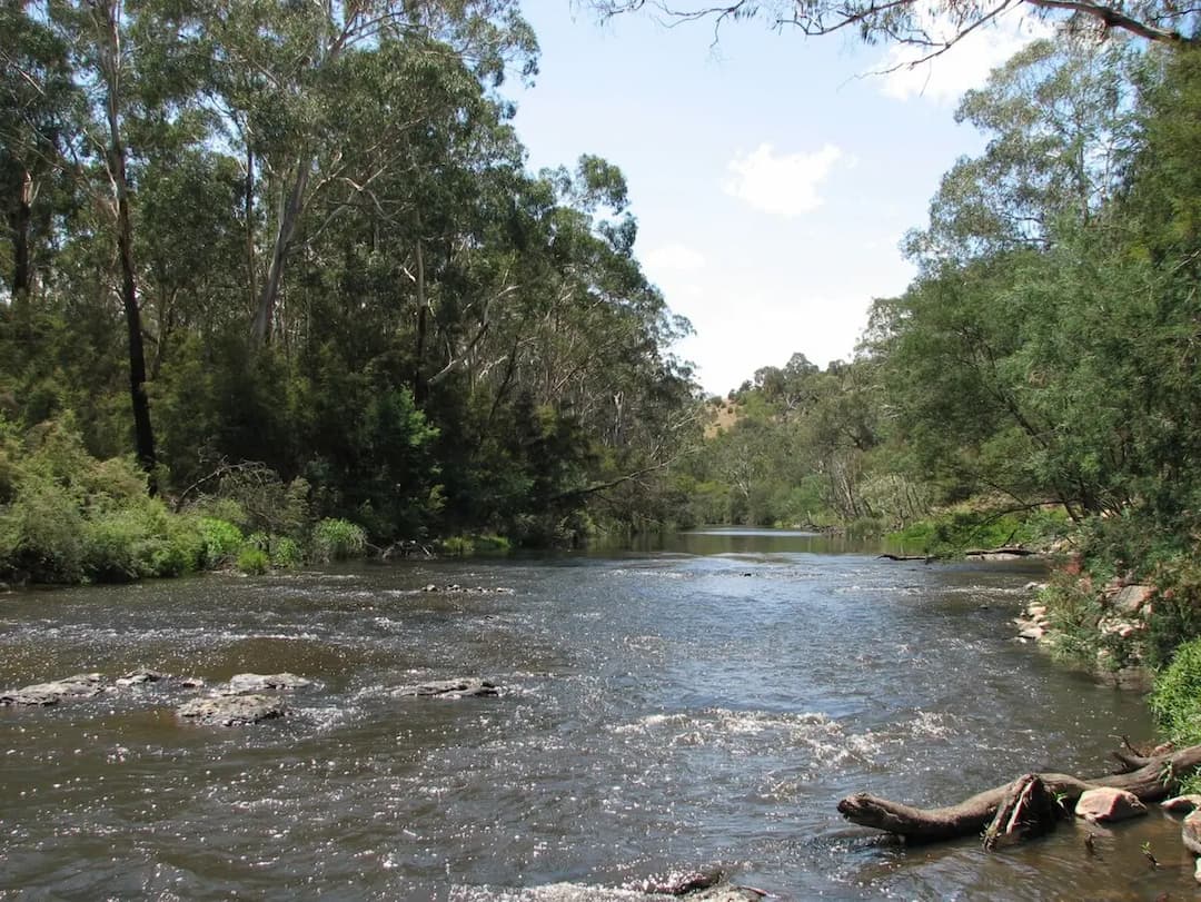 Wonga Park to Melbourne Airport (MEL) | Reliable Airport Transfer