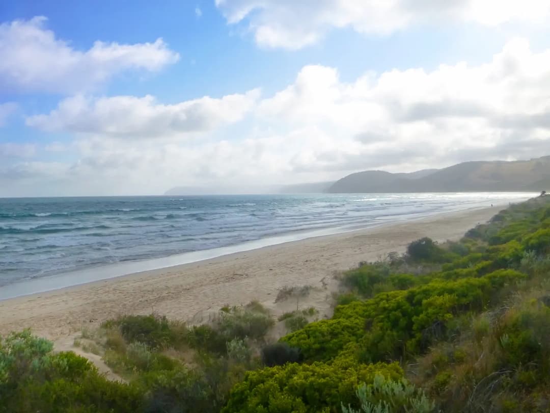 Moggs Creek to Melbourne Airport (MEL) | Reliable Airport Transfer