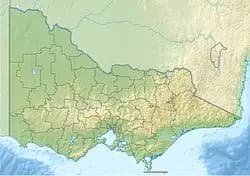 Turtons Creek to Melbourne Airport (MEL) | Reliable Airport Transfer