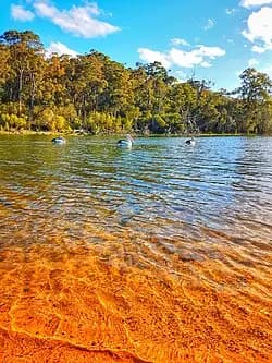 Lake Tyers to Melbourne Airport (MEL) | Reliable Airport Transfer