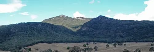 Pine View to Melbourne Airport (MEL) | Reliable Airport Transfer
