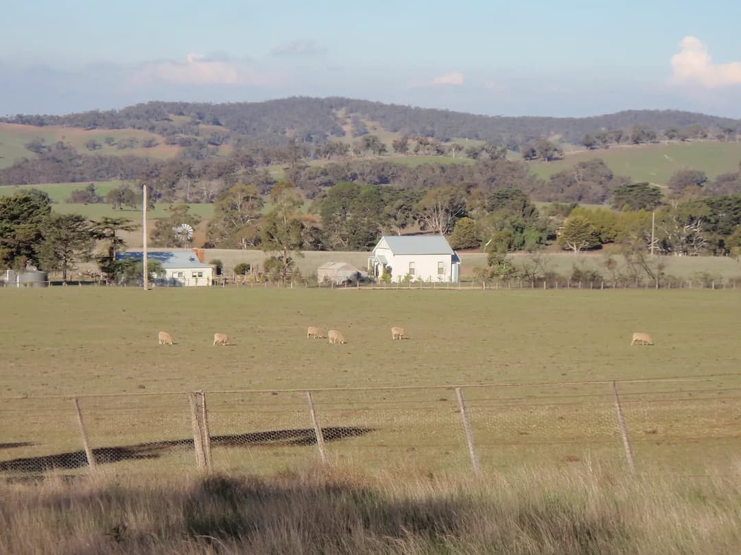Springfield to Melbourne Airport (MEL) | Reliable Airport Transfer