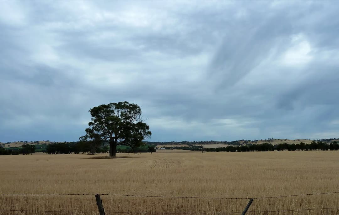 Rathscar West to Melbourne Airport (MEL) | Reliable Airport Transfer
