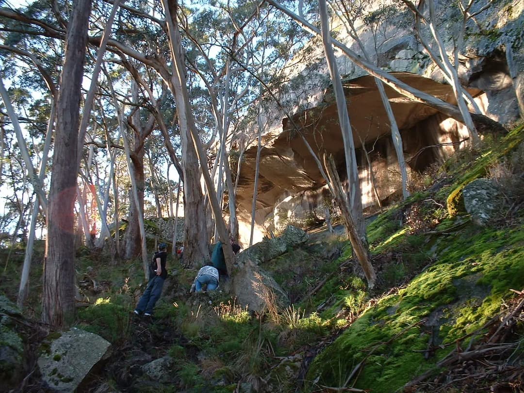 Mount Cole Creek to Melbourne Airport (MEL) | Reliable Airport Transfer