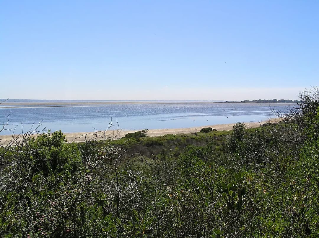 Swan Bay to Melbourne Airport (MEL) | Reliable Airport Transfer
