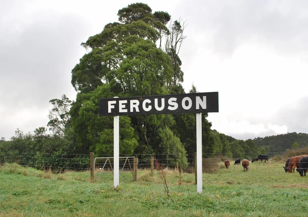 Ferguson to Melbourne Airport (MEL) | Reliable Airport Transfer