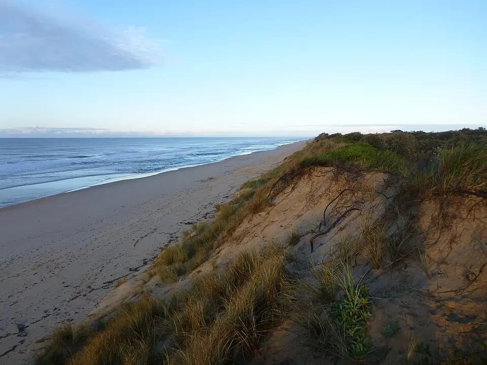 The Honeysuckles to Melbourne Airport (MEL) | Reliable Airport Transfer