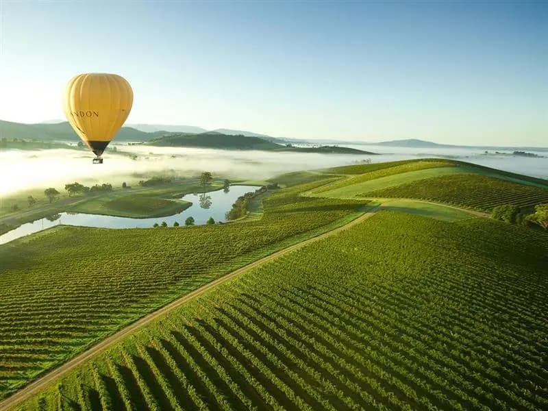 Yarra Valley Day Tour from Melbourne - Nature, Ballooning & Scenic Escapes Yarra Valley Day Tour from Melbourne - Nature, Ballooning & Scenic Escapes