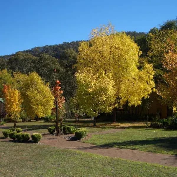 Lake Eildon to Melbourne Airport (MEL) | Elevated Airport Transfer Experience Lake Eildon to Melbourne Airport (MEL) | Elevated Airport Transfer Experience
