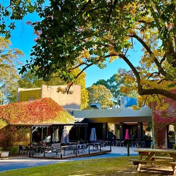 Beechworth to Melbourne Airport (MEL) | Elevated Airport Transfer Experience Beechworth to Melbourne Airport (MEL) | Elevated Airport Transfer Experience